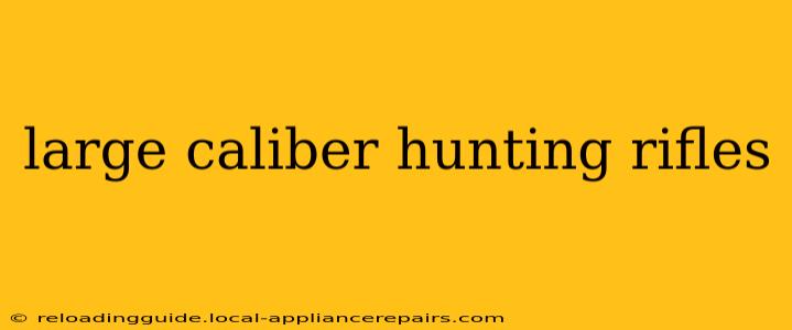 large caliber hunting rifles