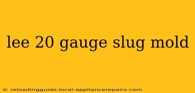 lee 20 gauge slug mold