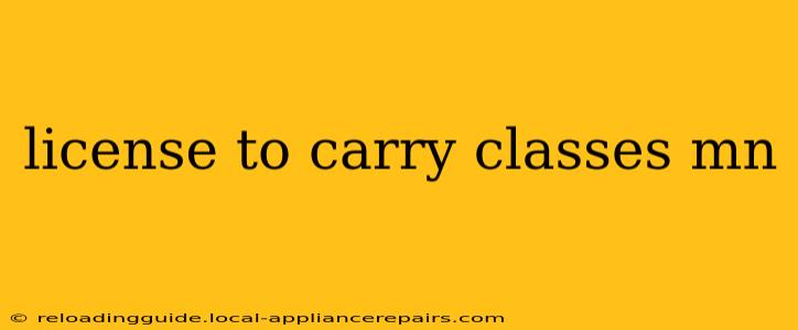 license to carry classes mn