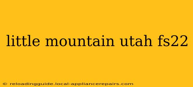 little mountain utah fs22