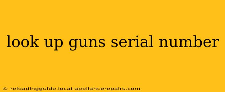 look up guns serial number