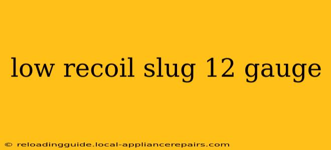 low recoil slug 12 gauge