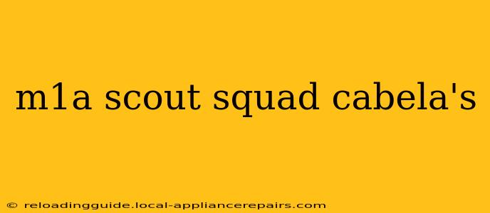 m1a scout squad cabela's