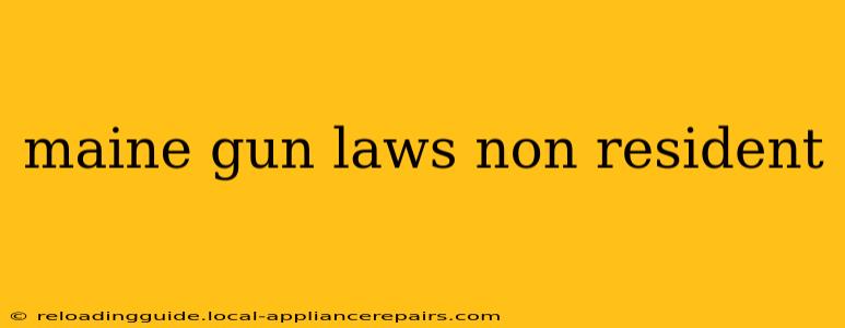 maine gun laws non resident