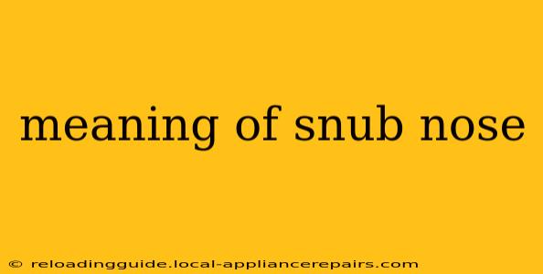 meaning of snub nose