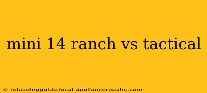 mini 14 ranch vs tactical