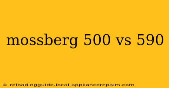 mossberg 500 vs 590