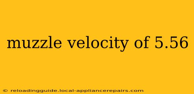 muzzle velocity of 5.56