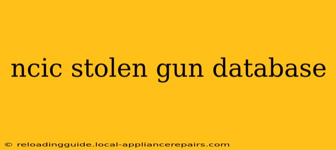 ncic stolen gun database