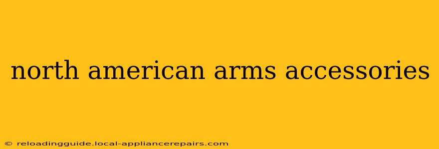 north american arms accessories