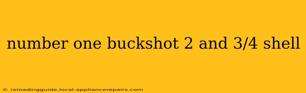 number one buckshot 2 and 3/4 shell