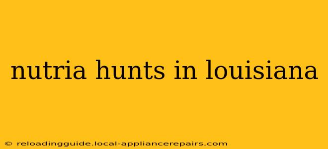 nutria hunts in louisiana