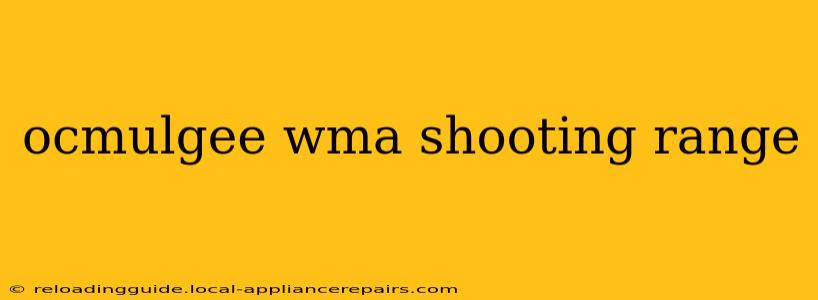 ocmulgee wma shooting range