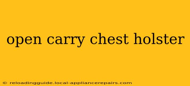 open carry chest holster