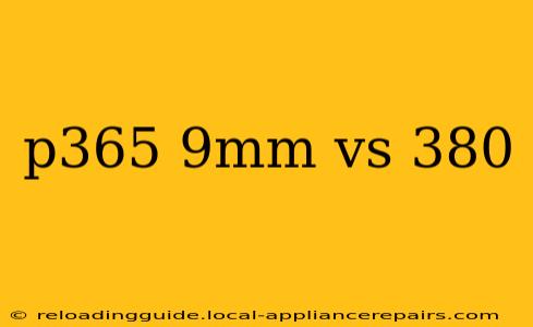 p365 9mm vs 380