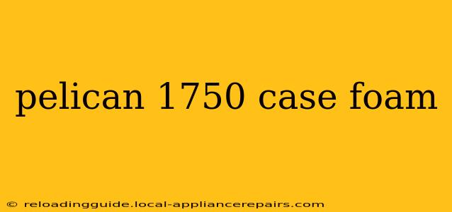 pelican 1750 case foam