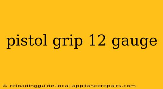 pistol grip 12 gauge