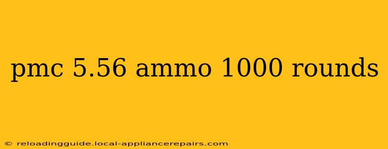 pmc 5.56 ammo 1000 rounds