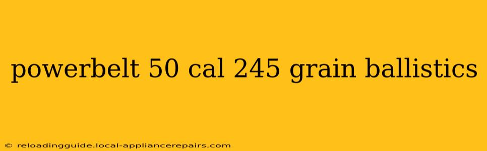 powerbelt 50 cal 245 grain ballistics