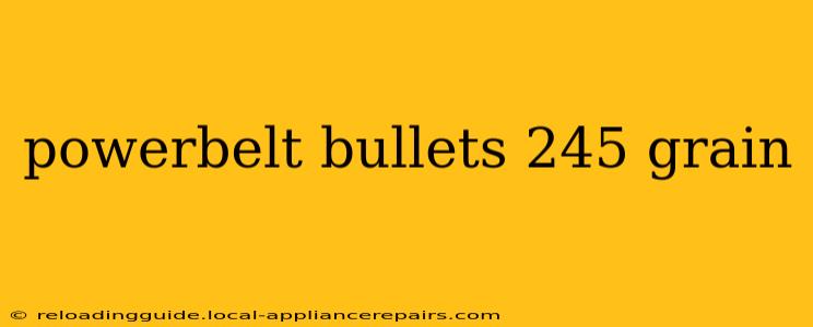 powerbelt bullets 245 grain