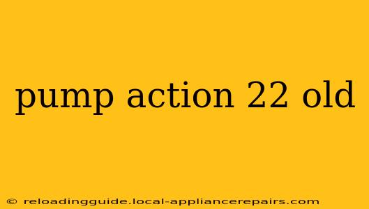 pump action 22 old