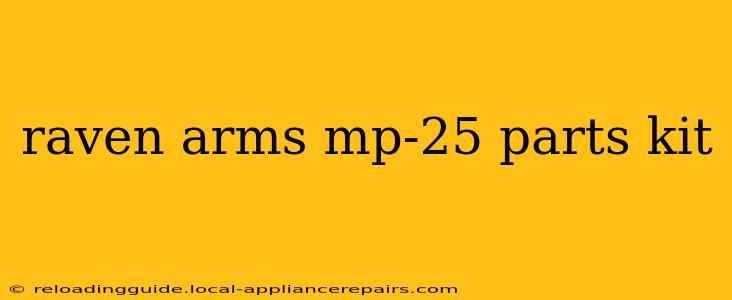 raven arms mp-25 parts kit