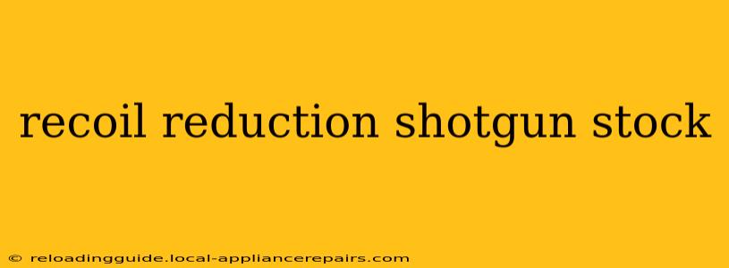 recoil reduction shotgun stock