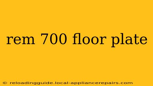 rem 700 floor plate