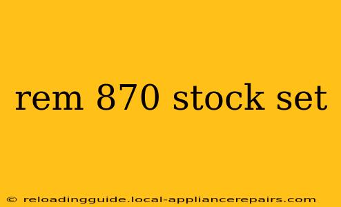 rem 870 stock set