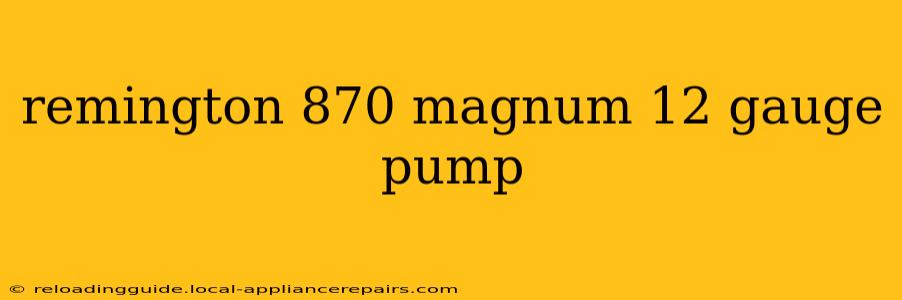 remington 870 magnum 12 gauge pump