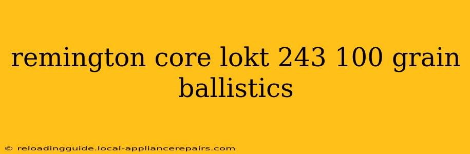 remington core lokt 243 100 grain ballistics