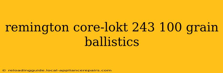 remington core-lokt 243 100 grain ballistics