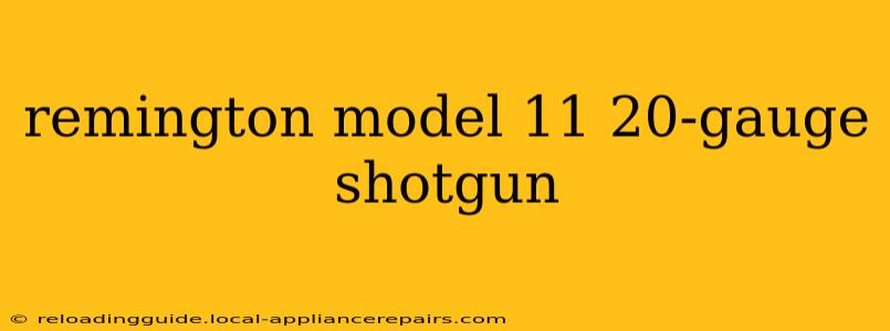 remington model 11 20-gauge shotgun