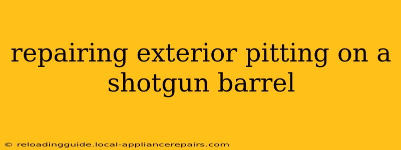 repairing exterior pitting on a shotgun barrel