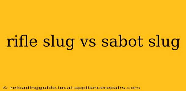 rifle slug vs sabot slug