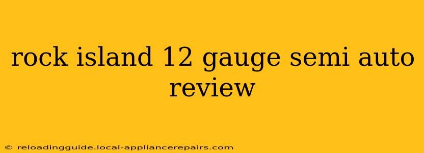 rock island 12 gauge semi auto review