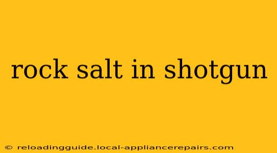 rock salt in shotgun