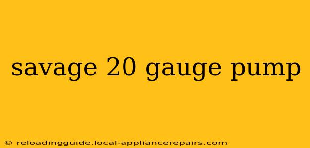 savage 20 gauge pump