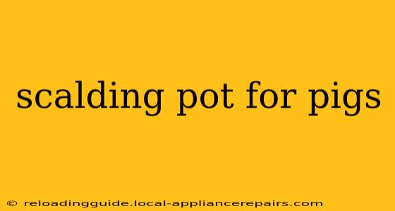 scalding pot for pigs