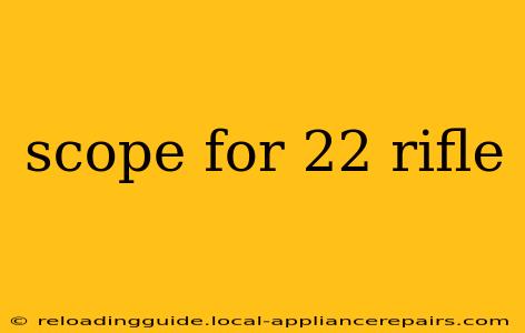 scope for 22 rifle