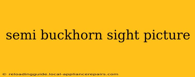 semi buckhorn sight picture