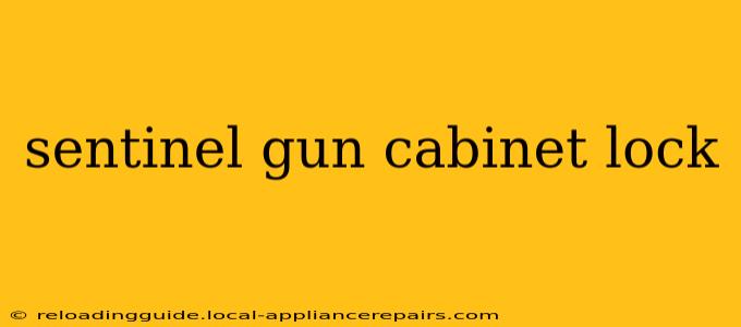 sentinel gun cabinet lock