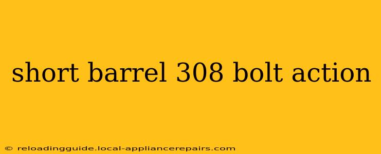 short barrel 308 bolt action