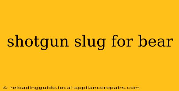 shotgun slug for bear