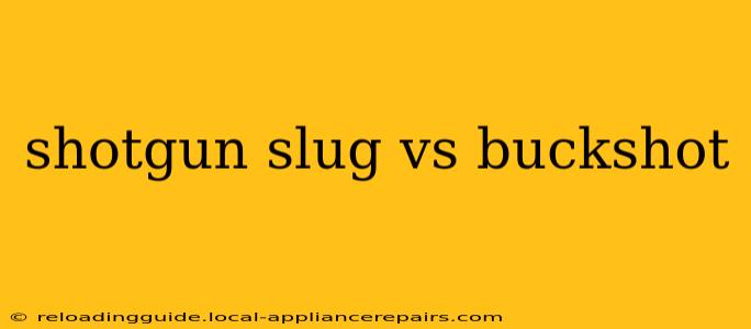 shotgun slug vs buckshot