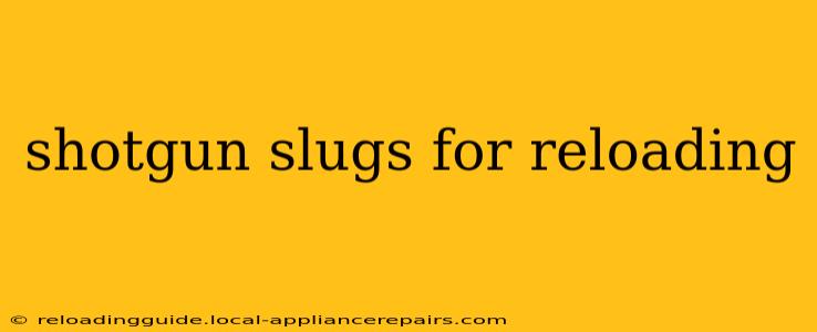 shotgun slugs for reloading