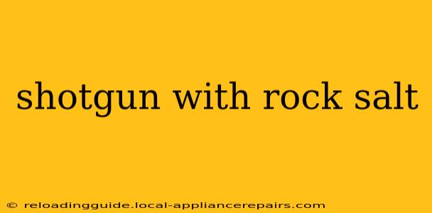 shotgun with rock salt