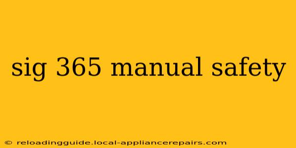 sig 365 manual safety