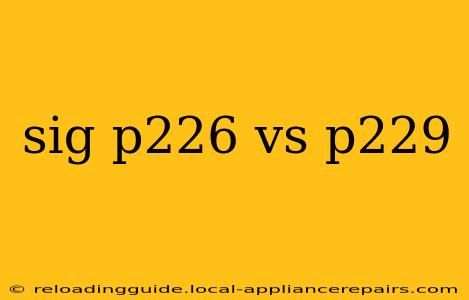 sig p226 vs p229