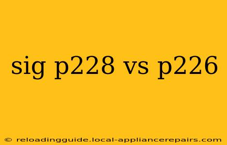 sig p228 vs p226